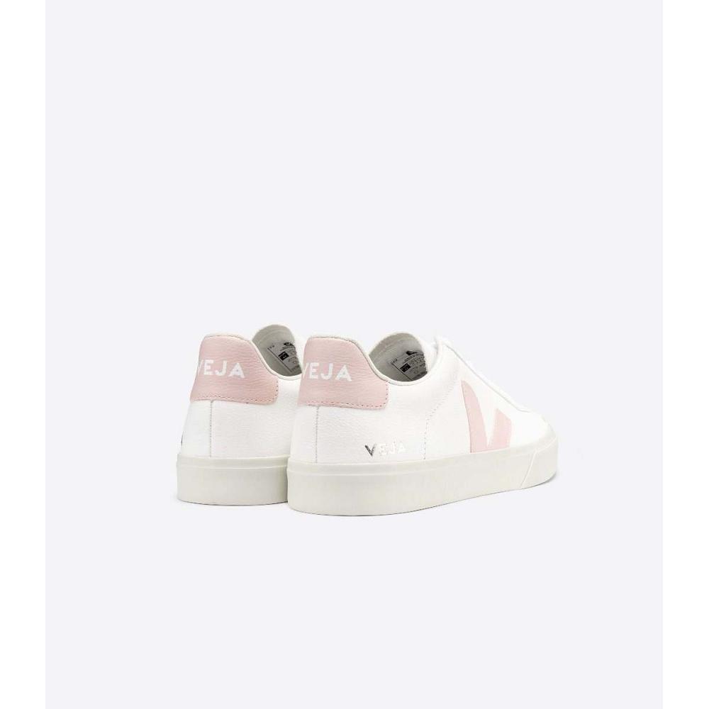 Veja CAMPO CHROMEFREE Women's Low Tops Sneakers White/Pink | CA 463KOR